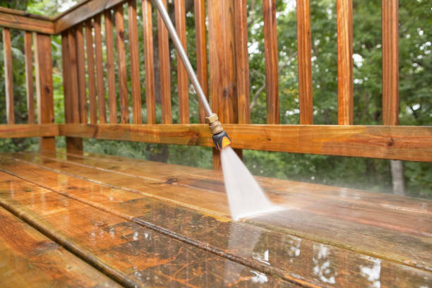 Best Affordable Pressure Washing  in Sanborn, IA
