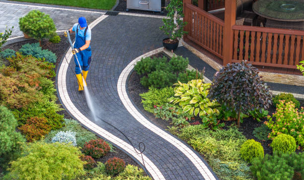 Best Best Pressure Washing Companies  in Sanborn, IA