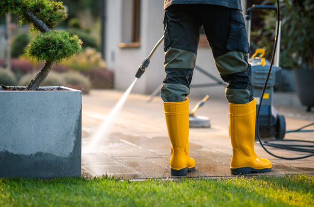 Best Pressure Washing Near Me  in Sanborn, IA